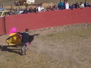 Toreando una vaquilla
